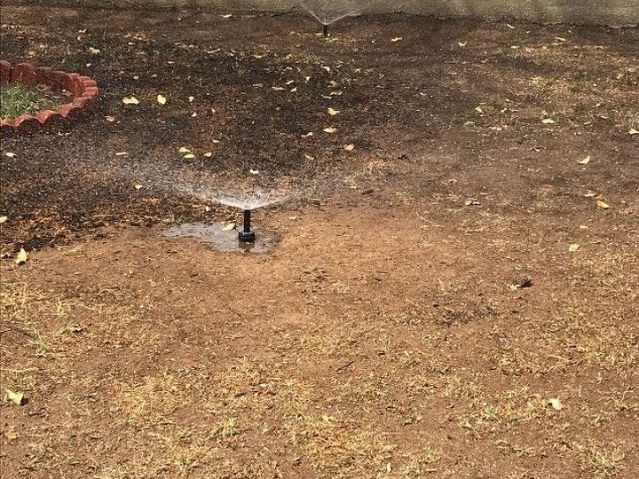 q how can we turn hard dirt into a green oasis