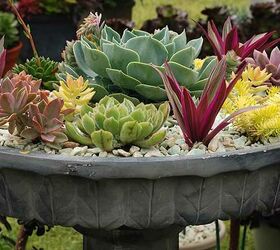 12 container garden ideas to kick off spring, 4 Steps to Creating Container Gardens