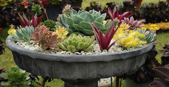 12 container garden ideas to kick off spring, 4 Steps to Creating Container Gardens