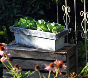 12 Container Garden Ideas to Kick Off Spring