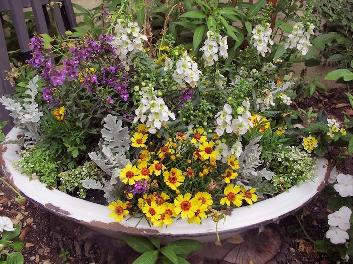 12 container garden ideas to kick off spring, Vintage Enamelware Tub