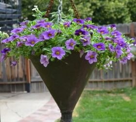 12 container garden ideas to kick off spring, Repurposed Funnel