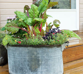 12 container garden ideas to kick off spring, Swiss Chard
