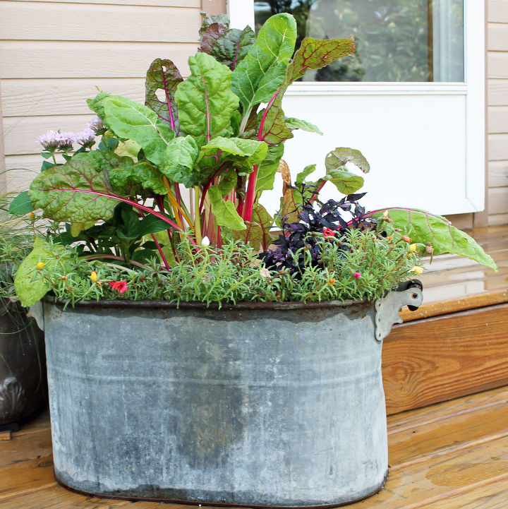 12 container garden ideas to kick off spring, Swiss Chard