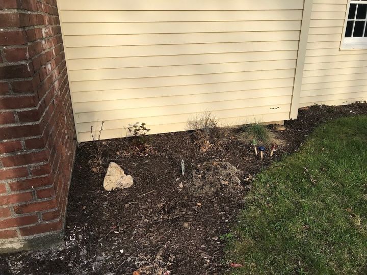 q clueless wannabe gardener