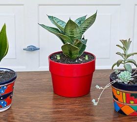 How To Plant Small Snake Plants & Succulents In Small Pots