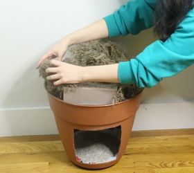cat litter planter