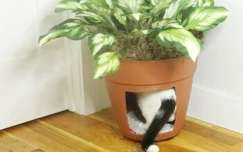 Dear Hometalk: How Can I Hide My Cat's Ugly Litter Box?
