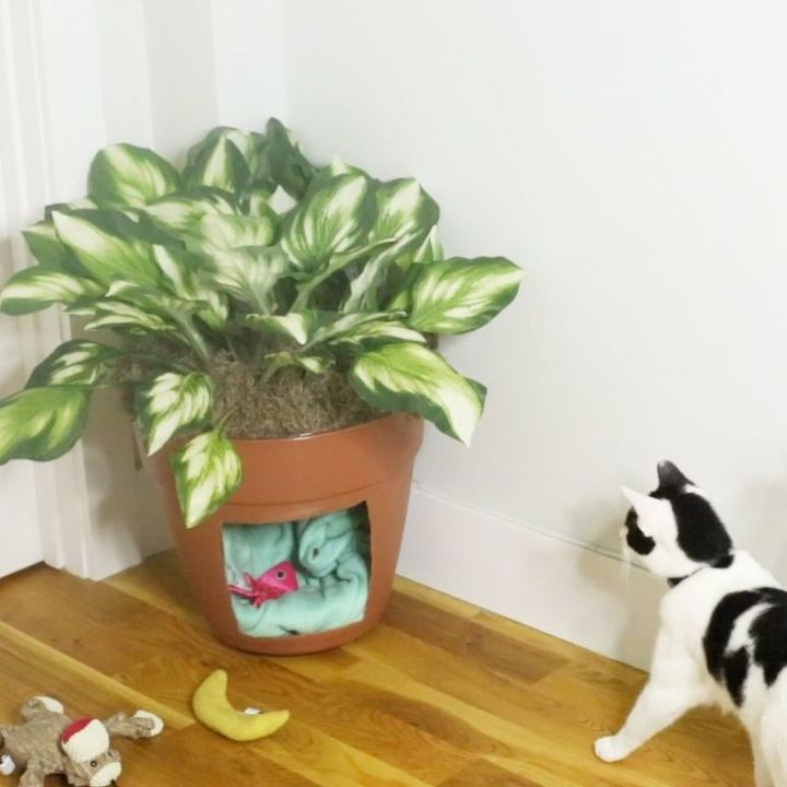 How To Hide Your Cat S Ugly Litter Box Diy Hometalk