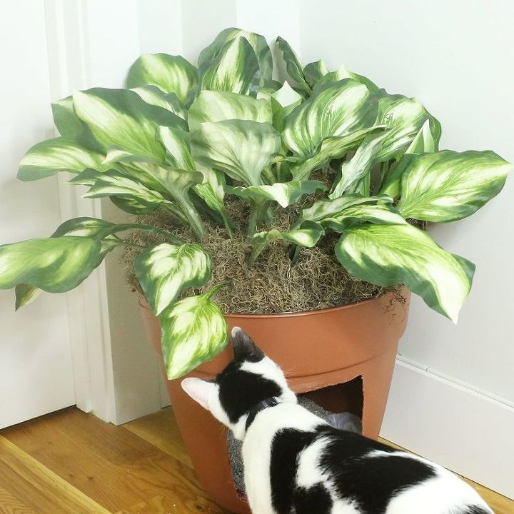 How To Hide Your Cat S Ugly Litter Box Diy Hometalk