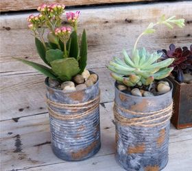 Macetas de lata recicladas para suculentas y otras plantas pequeñas