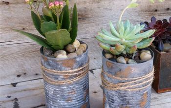  Vasos de lata reciclados para suculentas e outras plantas pequenas