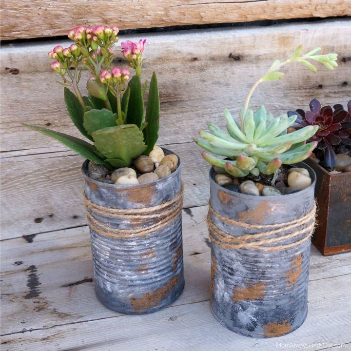 upcycled tin can planters for succulents and other small plants