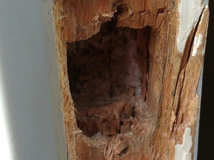 q i m going to use j b weld quikwood to fill the hole you see here