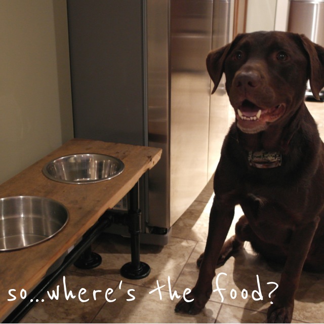s 30 great ideas for every pet owner, Assemble A Raised Feeder For Big Dogs