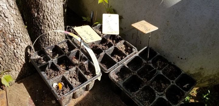 how mini ways can you make a small garden