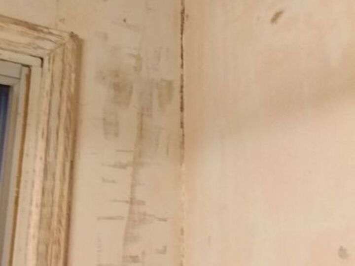 q bathroom walls