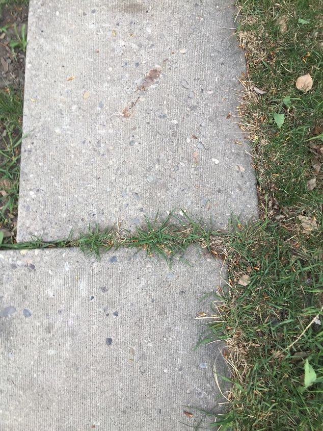 q a natural hack for getting rid of grass in between walk way stones