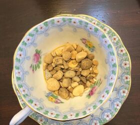 teacups and succulents, Little pebbles