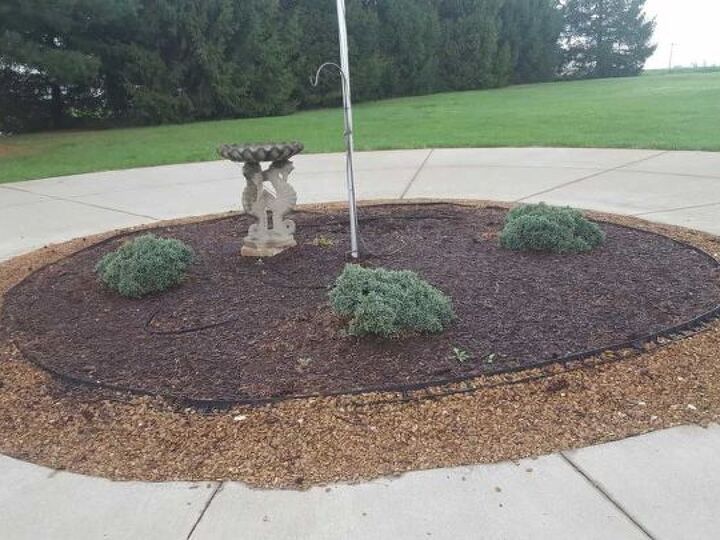 q does anyone have any suggestions for my circle driveway