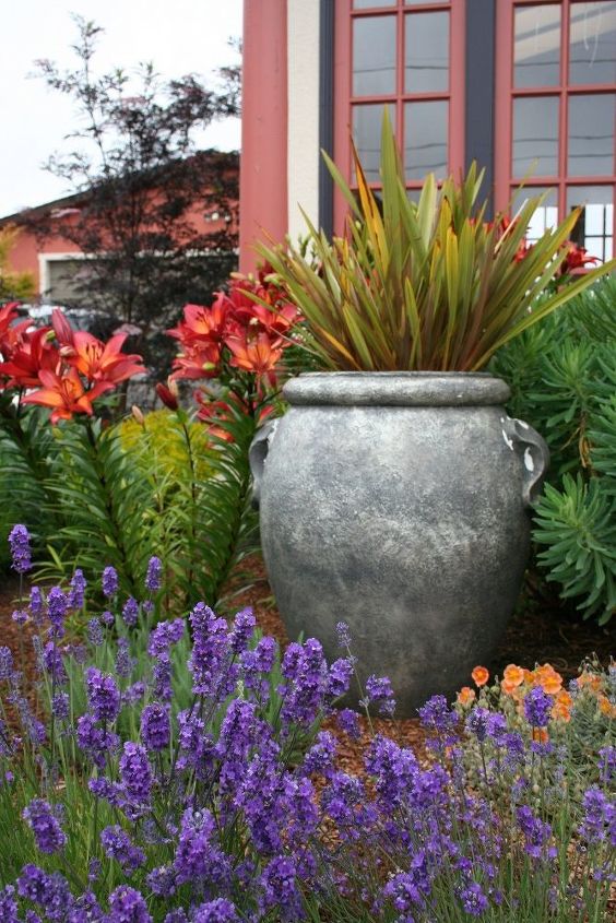 q low maintenance garden pots