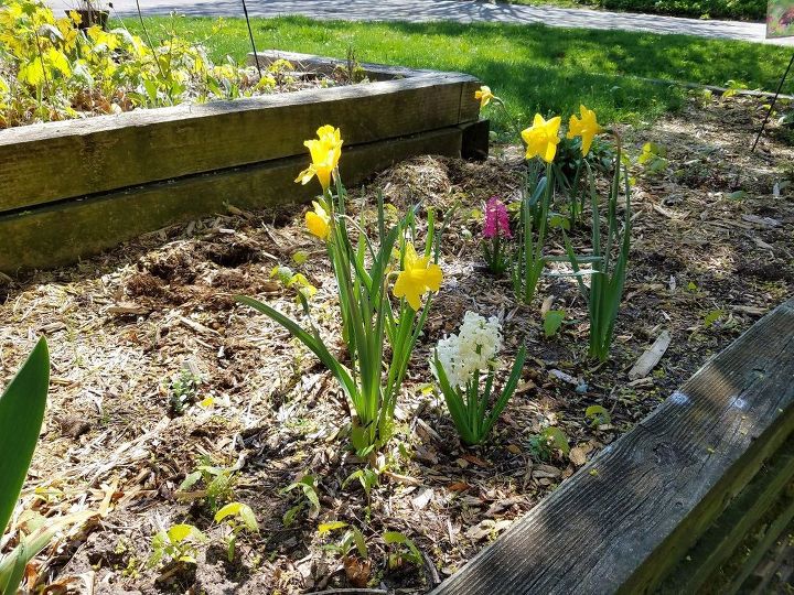 t gardens and irish spring soap