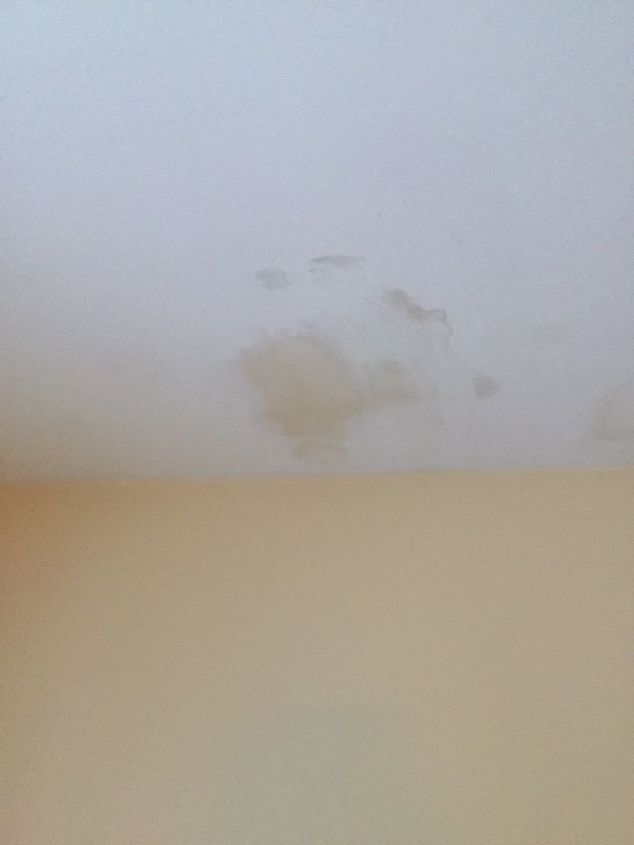 how to cover a stain on the ceiling without painting the whole ceiling
