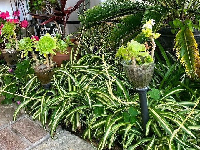 Tiny Garden Solar Light Hometalk