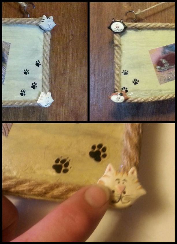 special gift from your furry friend