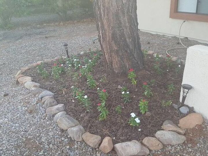 q what flowers will grow there