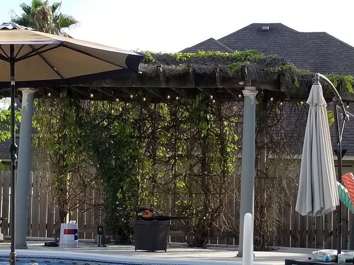 q help with ugly pergola