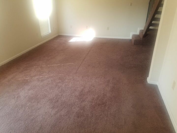 q brown carpet help