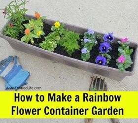 add the colors of the rainbow to your container garden