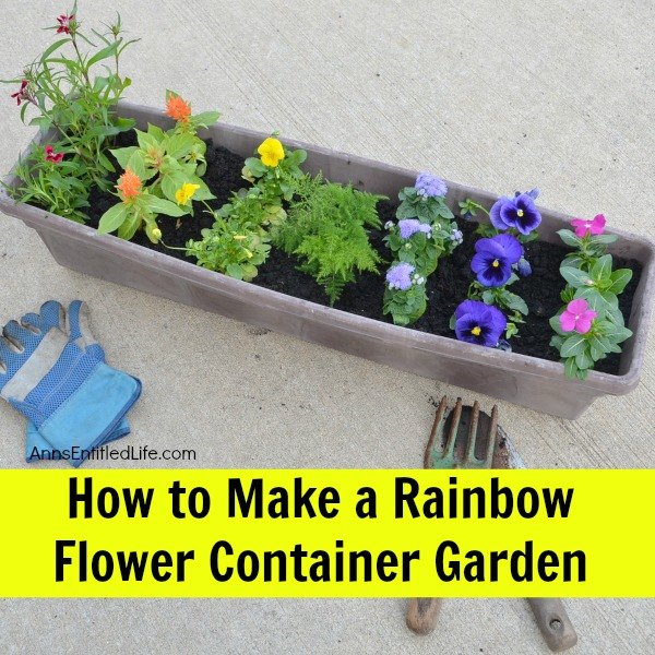 adicione as cores do arco ris ao seu jardim de contineres