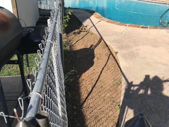 q help area around the pool before mosquitoes accumulate