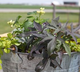 using galvanized containers as planters