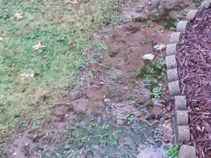 q whenever it rains my bback yard is like a swimming pool what can i