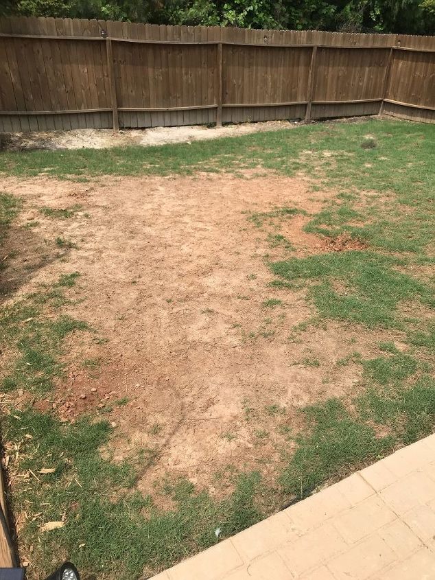 q inexpensive way to beautify dirt patches in backyard
