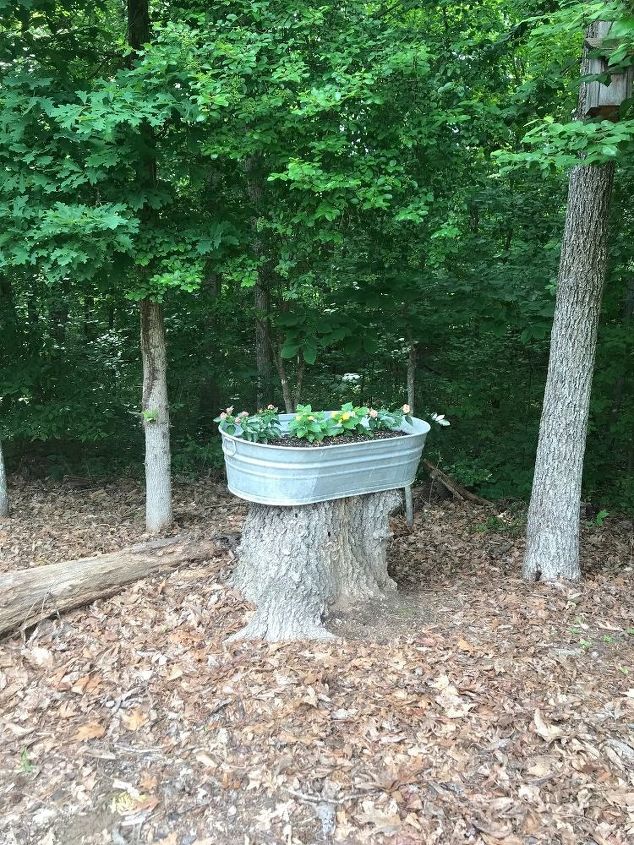 diy galvanized planter for tree stump