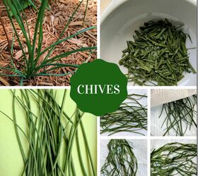 Drying Herbs In Your Microwave Hometalk Drying Herbs In Your Microwave Hometalk
