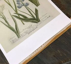 diy botanical prints