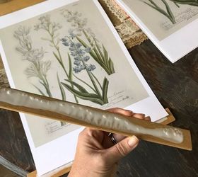 diy botanical prints
