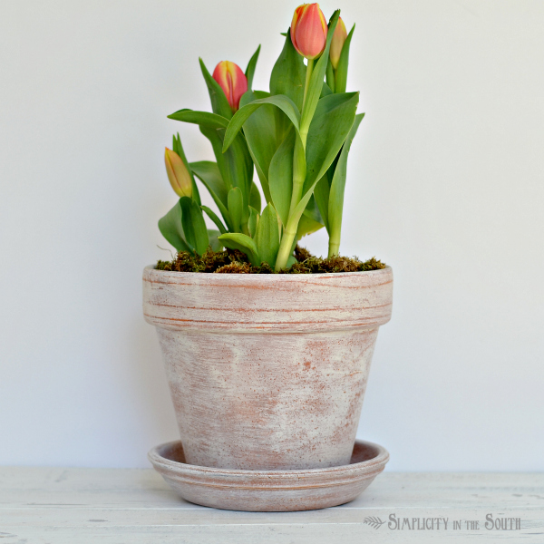 s 22 idea to make your terra cotta pots look oh so pretty, Age it with wax and chalk paint