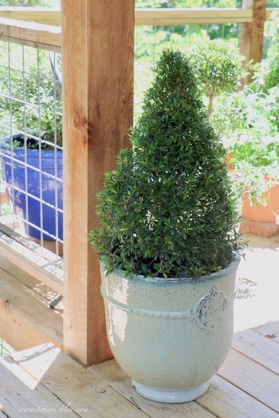 use french pedestal urns to add french style to your garden, Beautiful Topiary in New French Garden Urn