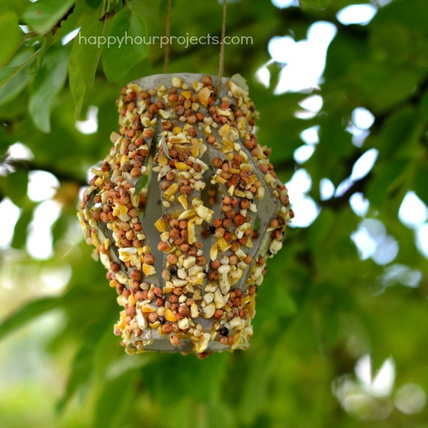 s 13 bird feeders from upcycled items, Kid Friendly Craft