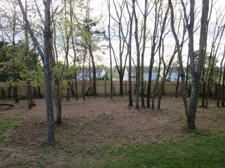 q need to get rid of foilage and vines in back yard