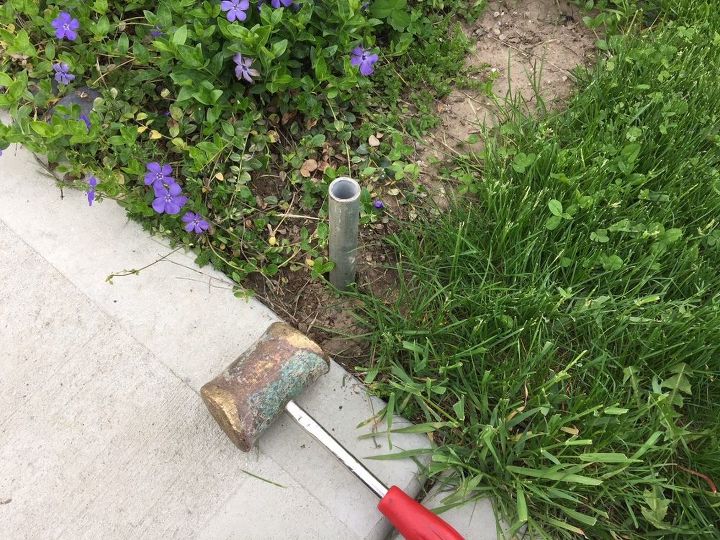 very sturdy but cute hose guards