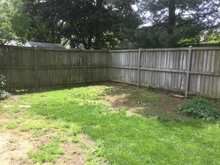 q how to convert shady corner in yard to usable space