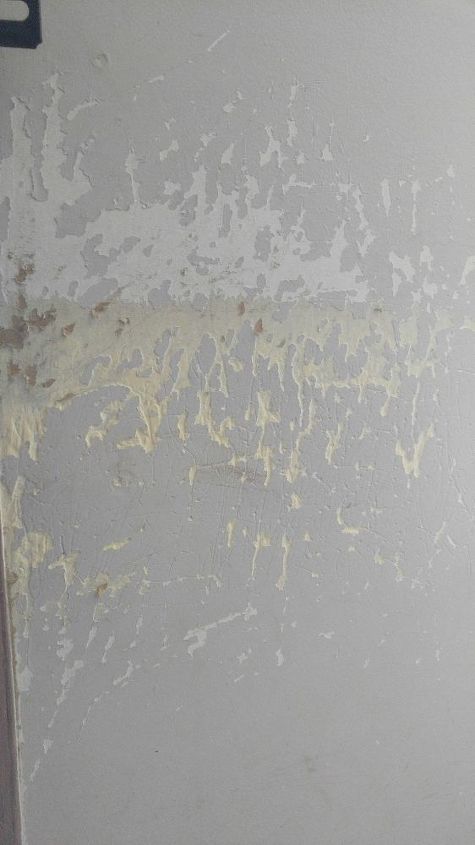 what is the best way to fix a wall the dog has scratched
