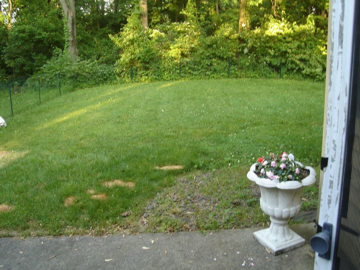 q what can i do with the yard and still have a safe place for my dogs